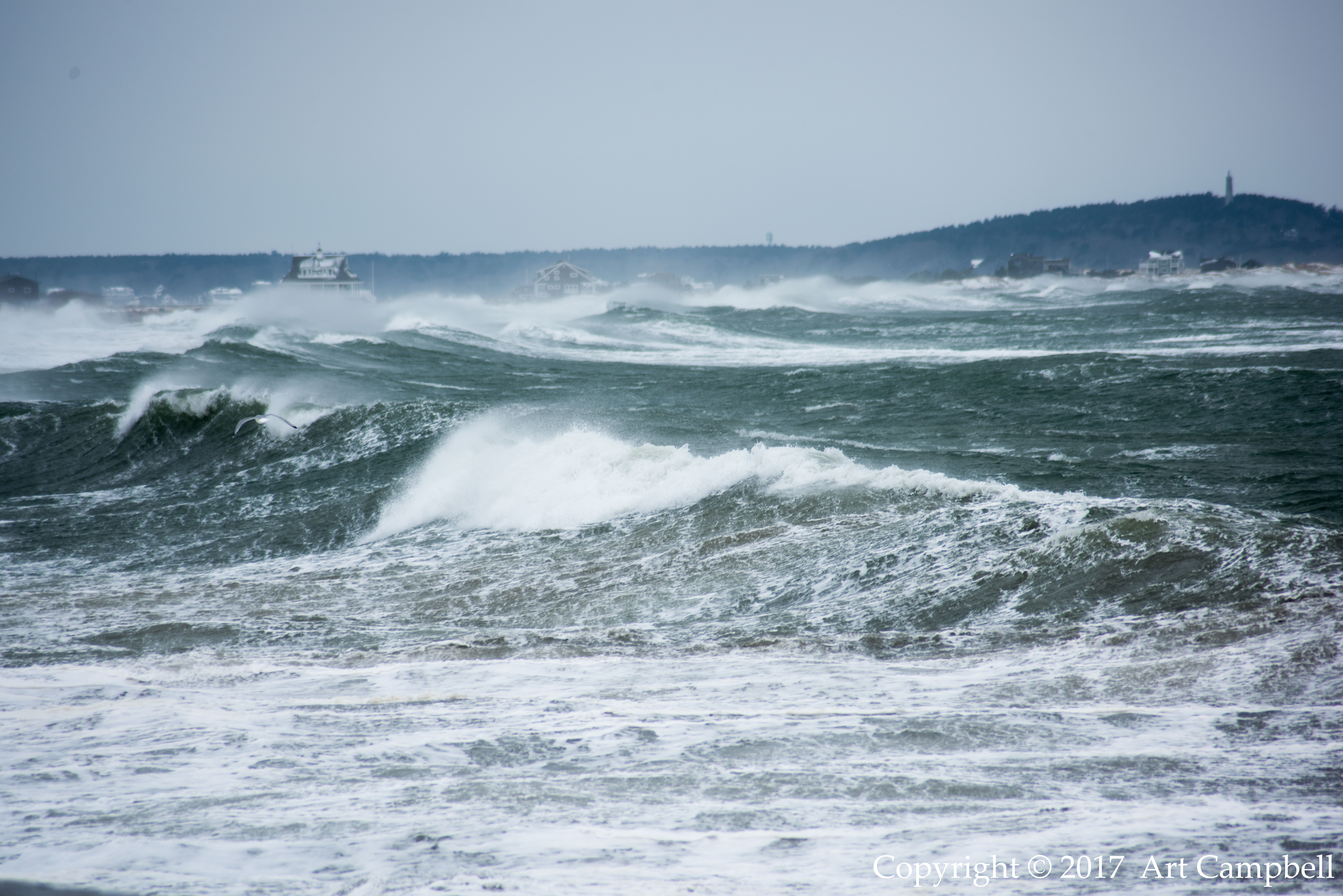 Nor'easter blowing ashore