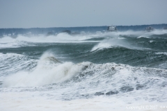 Nor'easter blowing ashore